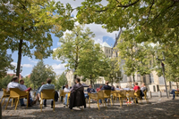 Mehrere Menschen sitzen auf Stühlen unter Baumen auf dem Domplatz in Münster.