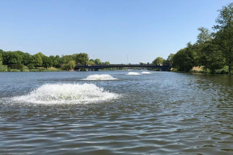Wasserfläche mit grünem Ufer und mehreren sprudelnden "Inseln"