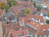 Dächer der Altstadt