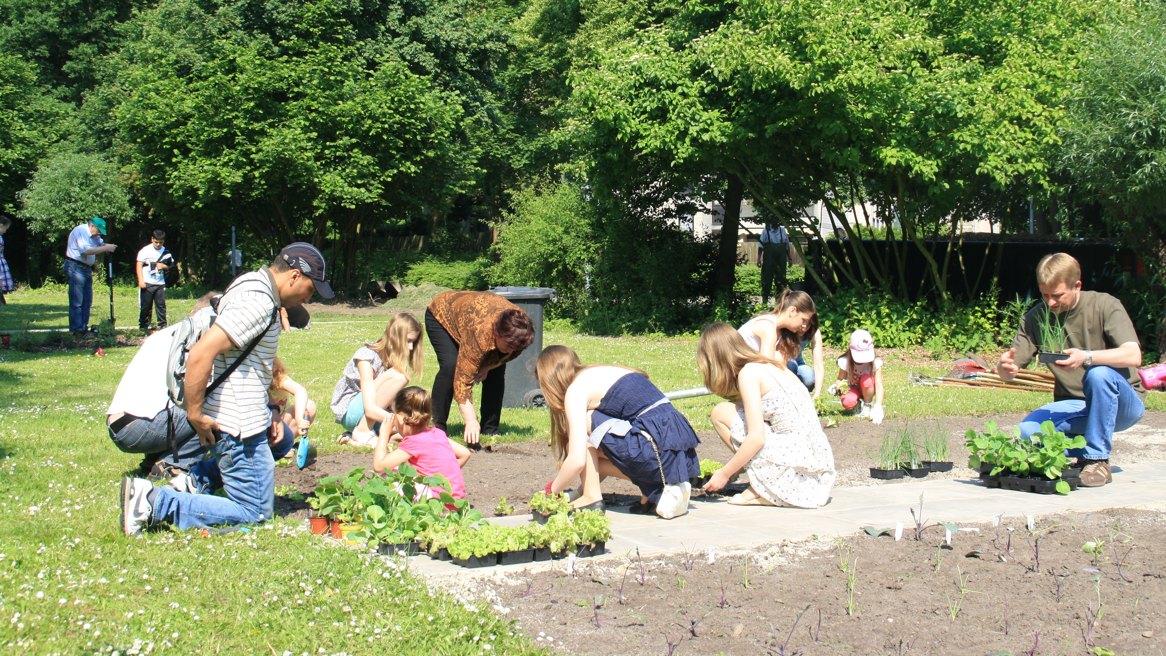 Mehrere Personen bepflanzen ein Beet bei Sonnenschein