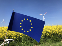 Die blaue Europafahne vor einem gelben Rapsfeld.