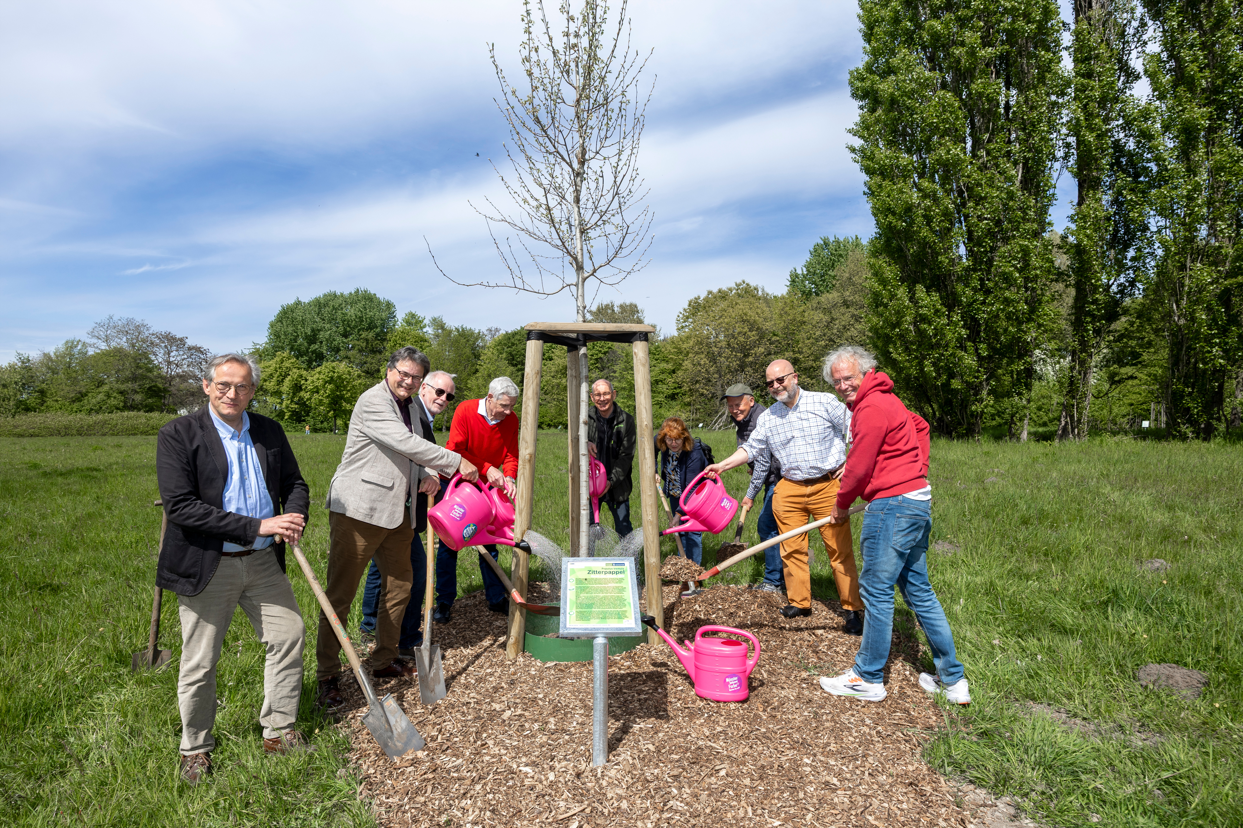 Bürgermeister Klaus Rosenau und Peter Driesch, Leiter des Amtes für Grünflächen, Umwelt und Nachhaltigkeit, haben mit interessierten Bürgerinnen und Bürgern eine Zitterpappel – den Baum des Jahres 2026 – gepflanzt.