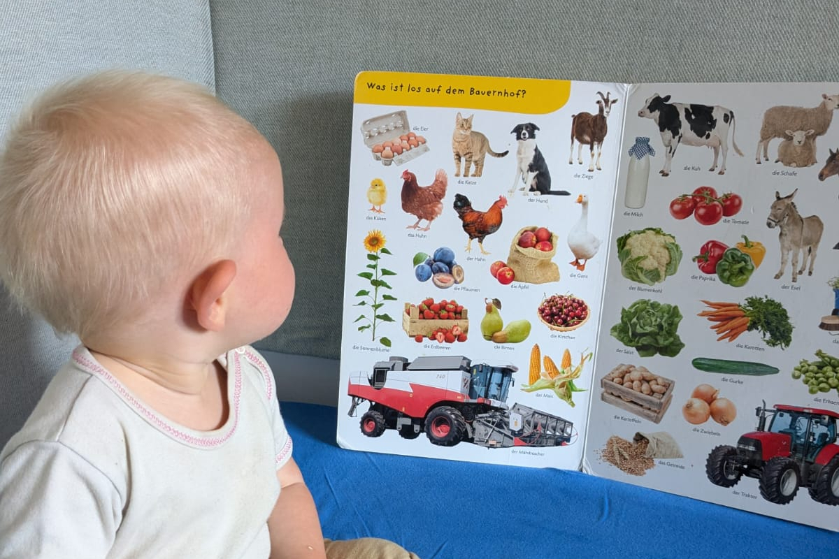 Kleinkind vor einem Bilderbuch
