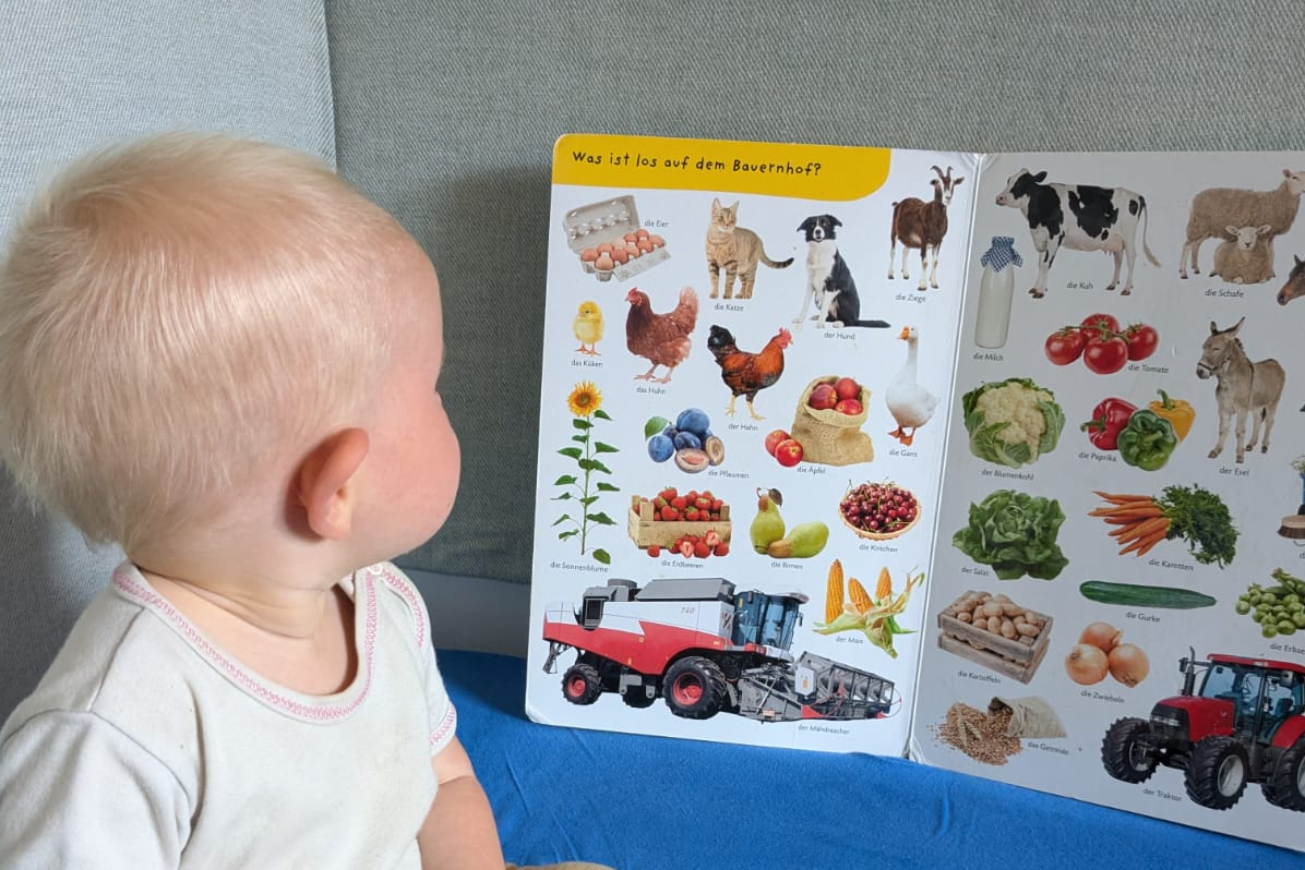 Kleinkind vor einem Bilderbuch
