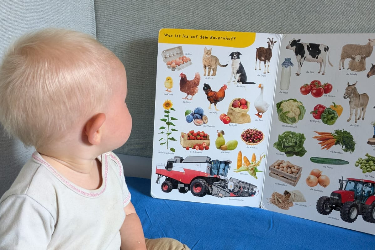 Kleinkind vor einem Bilderbuch