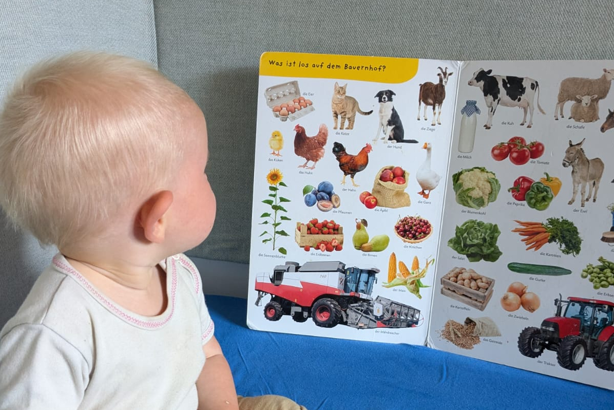 Kleinkind vor einem Bilderbuch