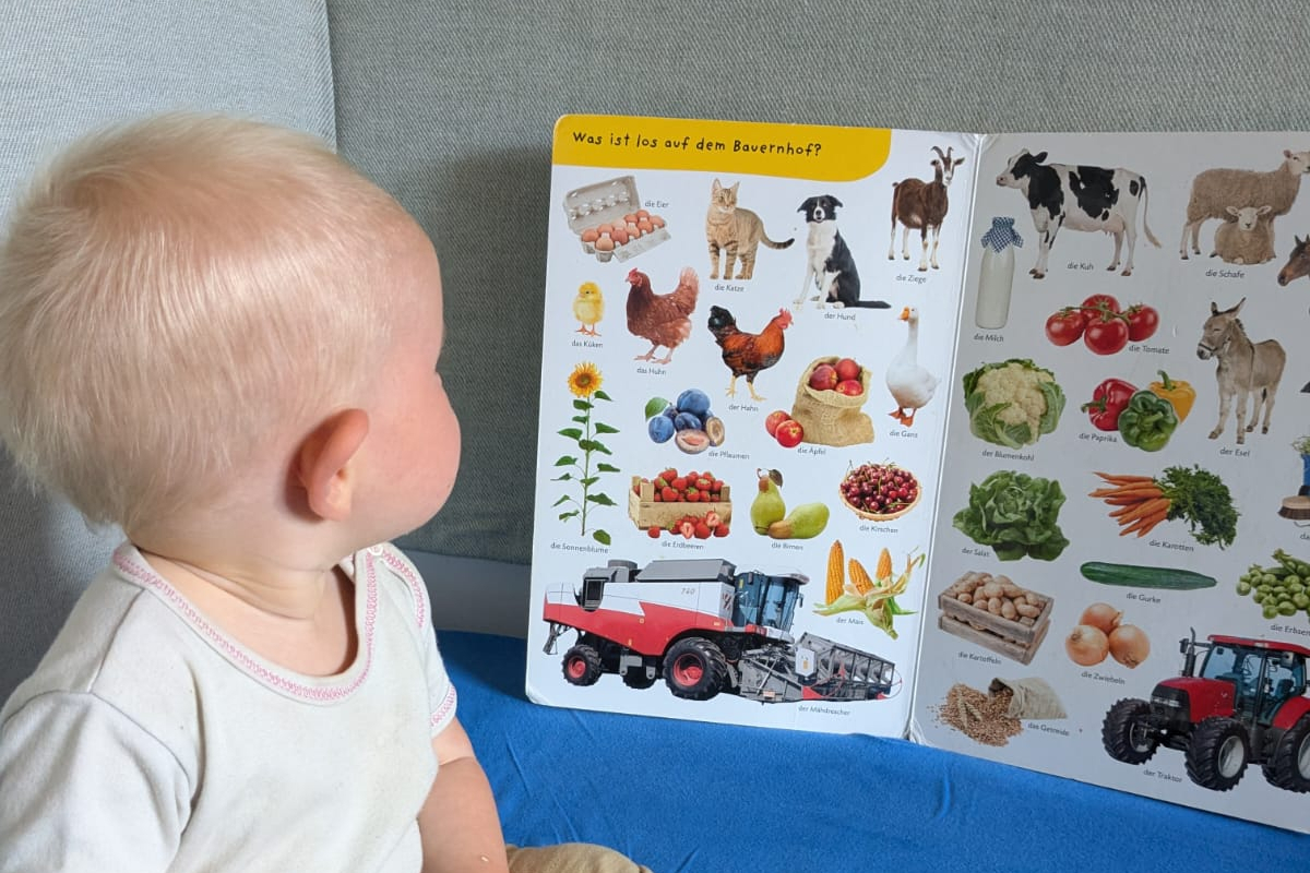 Kleinkind vor einem Bilderbuch
