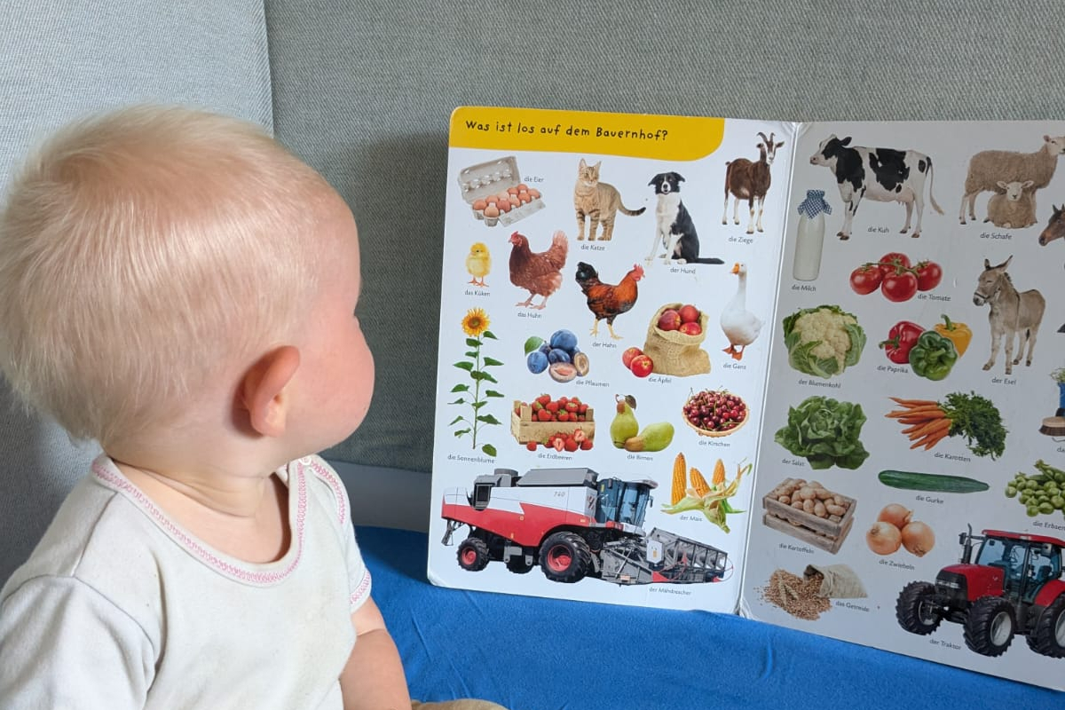 Kleinkind vor einem Bilderbuch