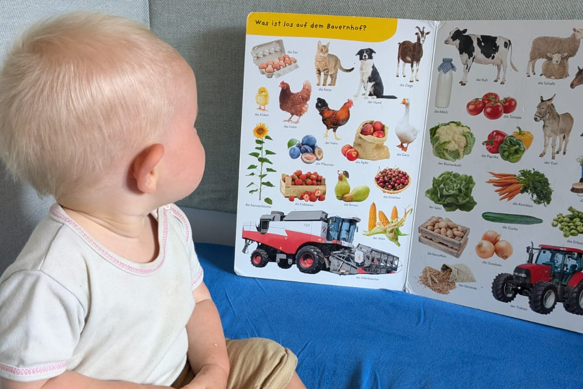 Kleinkind vor einem Bilderbuch