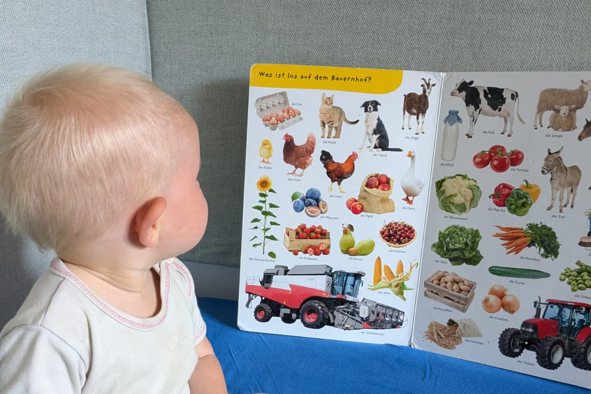 Kleinkind vor einem Bilderbuch