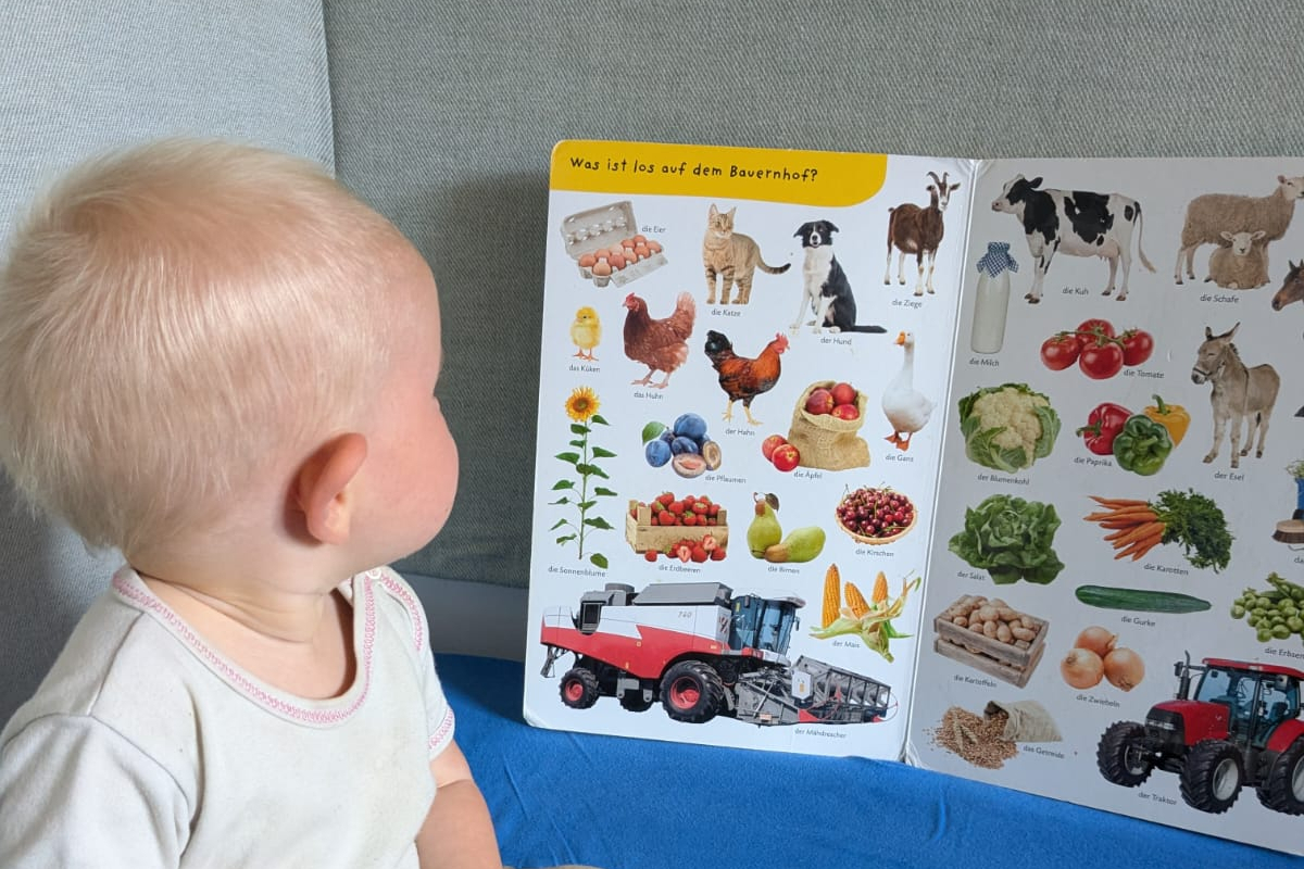 Kleinkind vor einem Bilderbuch
