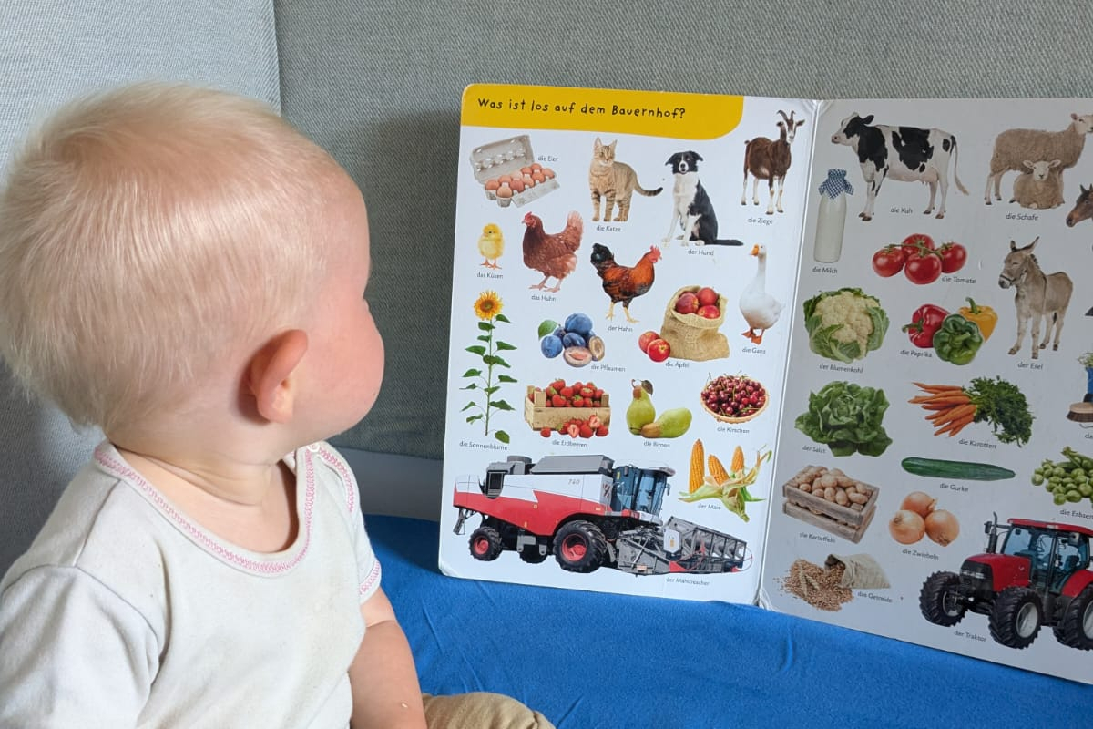 Kleinkind vor einem Bilderbuch