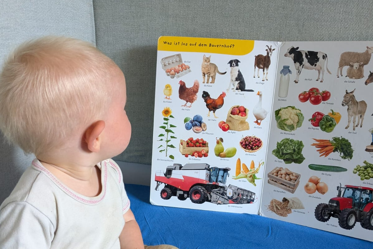 Kleinkind vor einem Bilderbuch