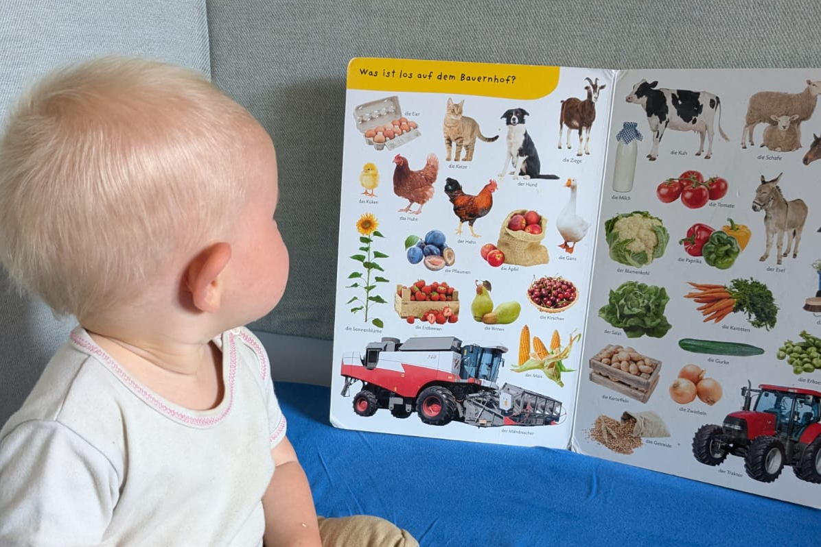 Kleinkind vor einem Bilderbuch