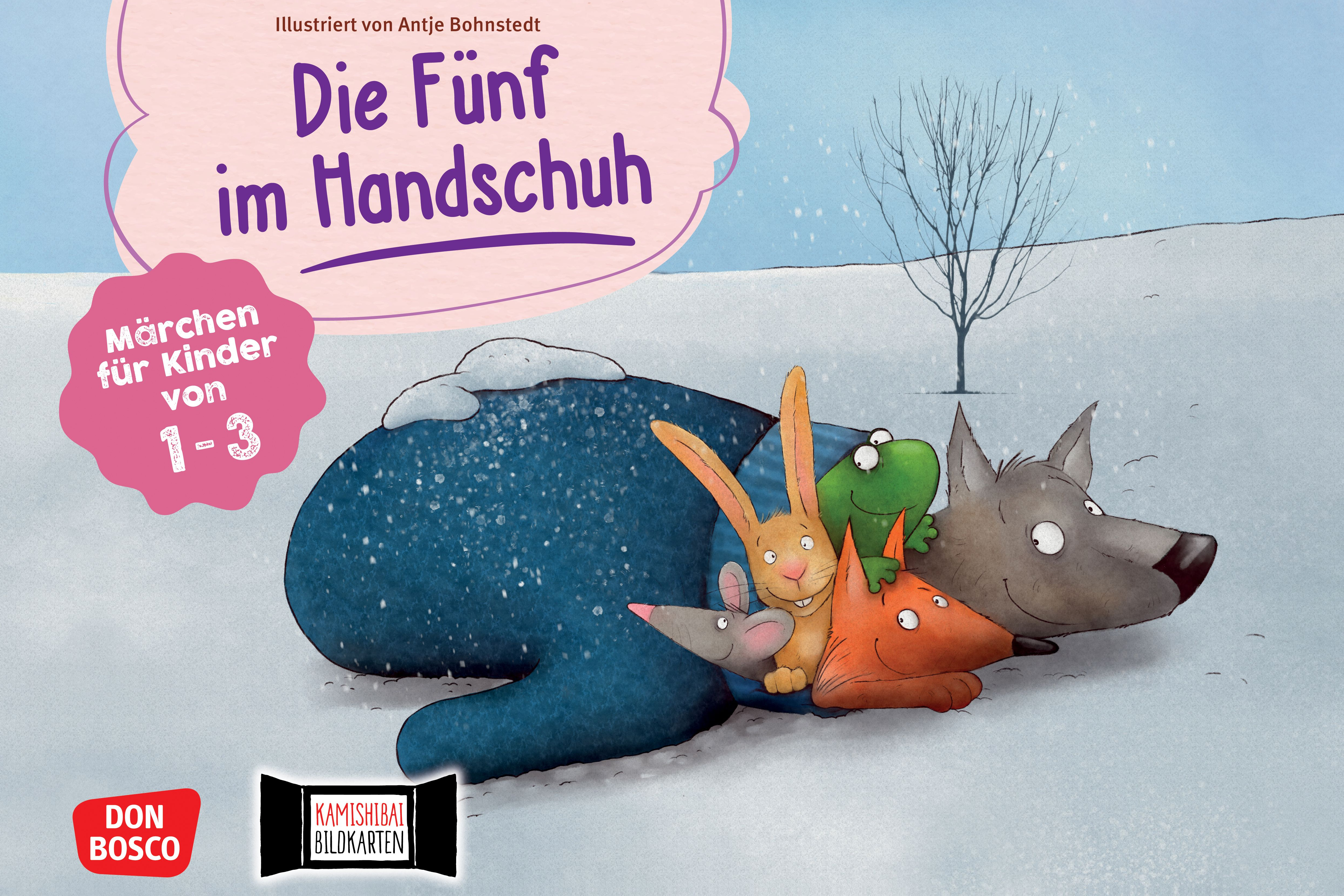 Cover Die Fünf im Handschuh