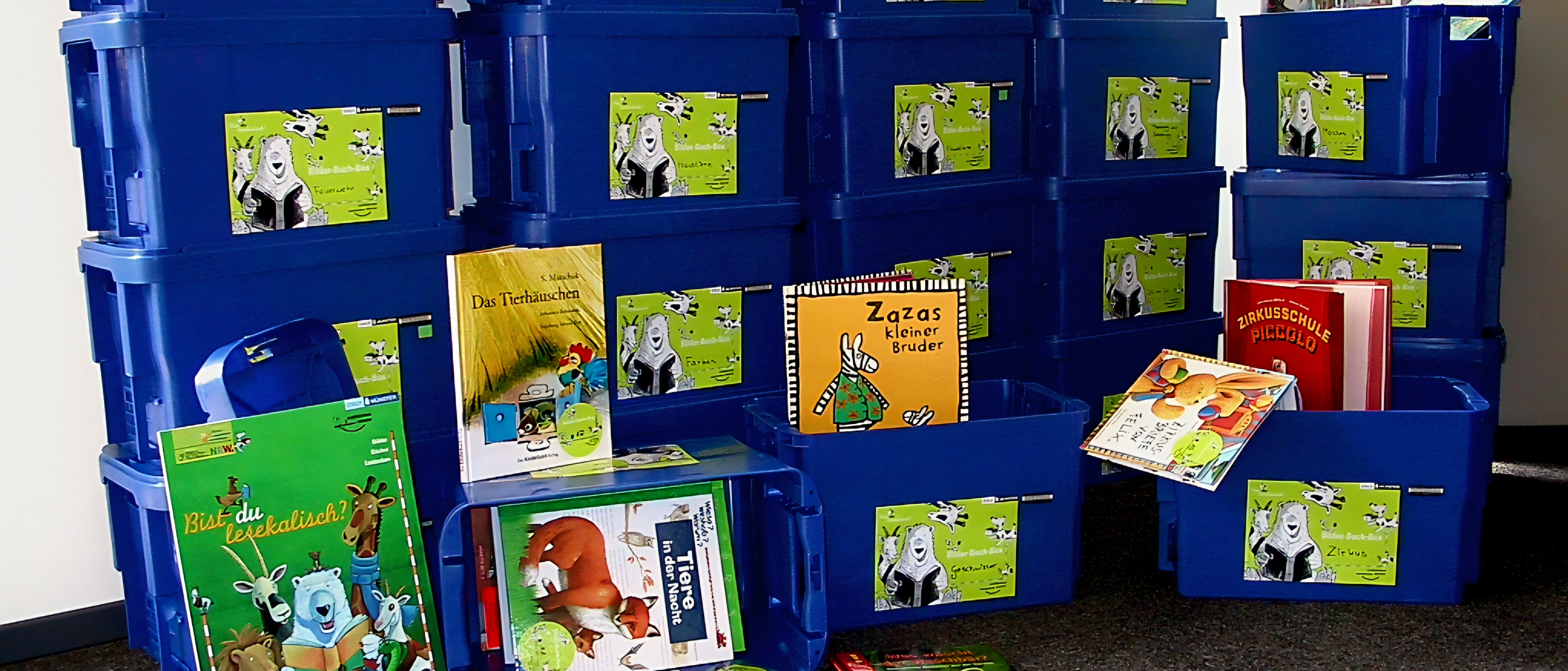 Boxen mit Bilderbüchern