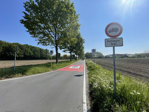 Das Foto zeigt den Blick auf eine Fahrradstraße Basis: Es existiert ein roter Streifen neben der weißen Markierung sowie an Kreuzungspunkten eine rote Markierung inkl. Fahrradstraßenpiktogramm