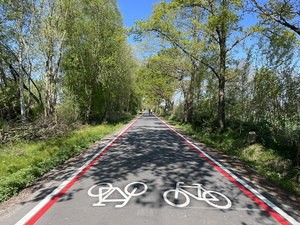 Die neue Markierung der Fahrradstraße Hessenweg