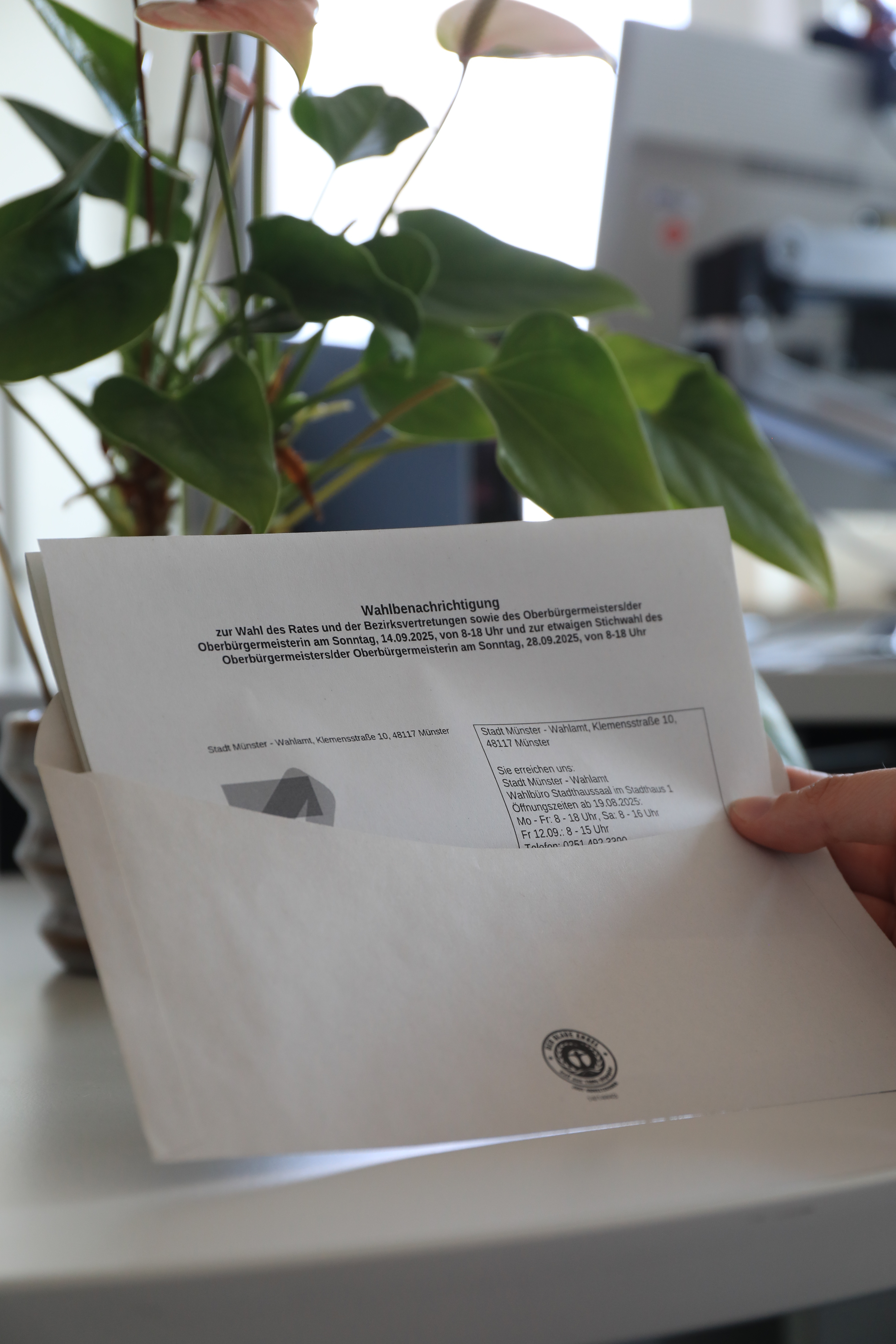 geöffneter Briefumschlag mit halb zu sehendem Inhalt 