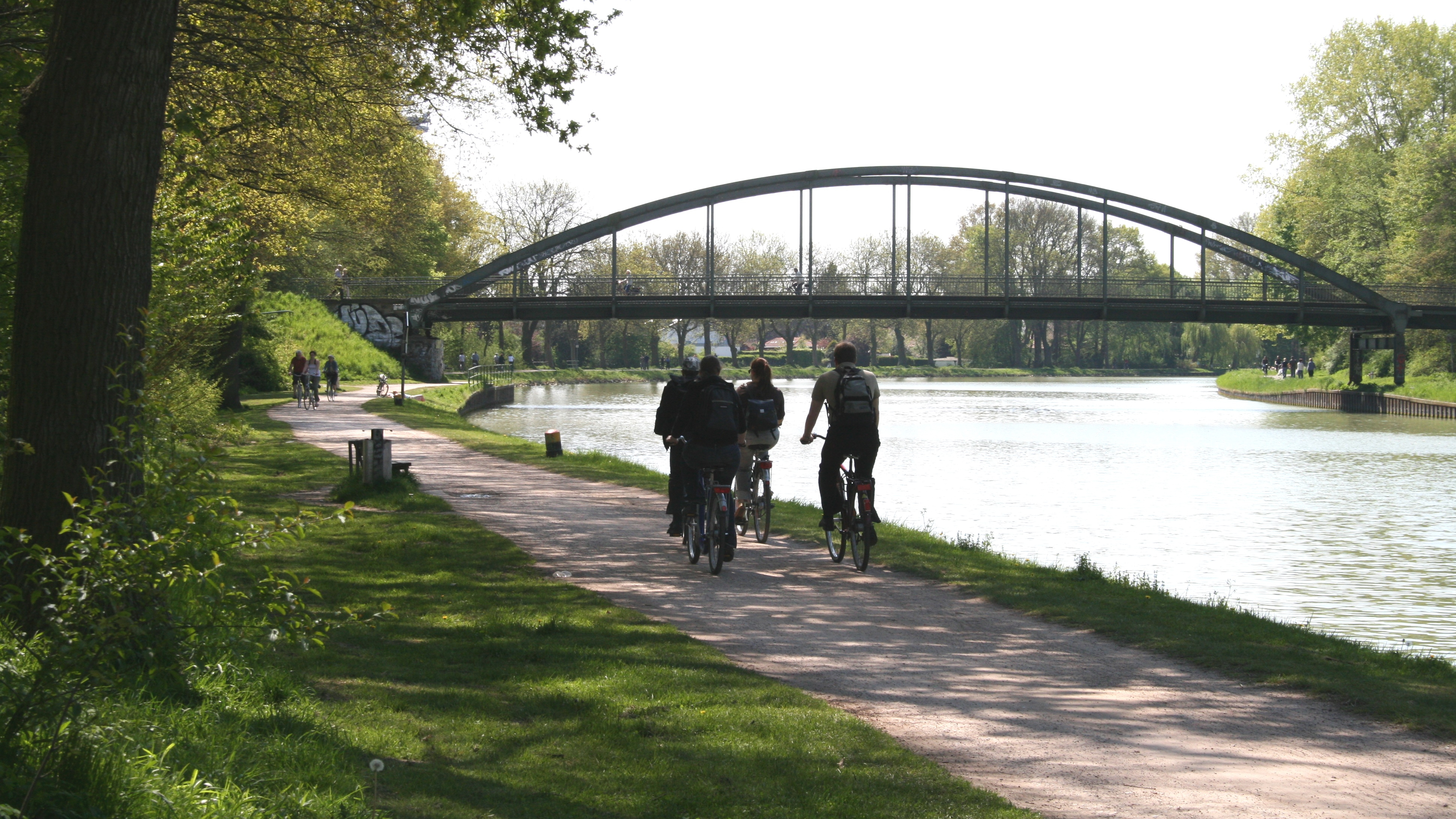 Radfahrer fahren an einem sonnigen Sommertag am Kanal in Münster entlang.