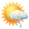 Sunny intervals with light rain shower