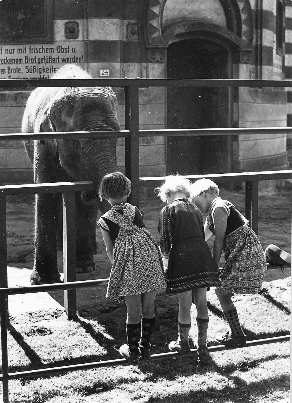 Drei Kinder vor dem Elefantengehege