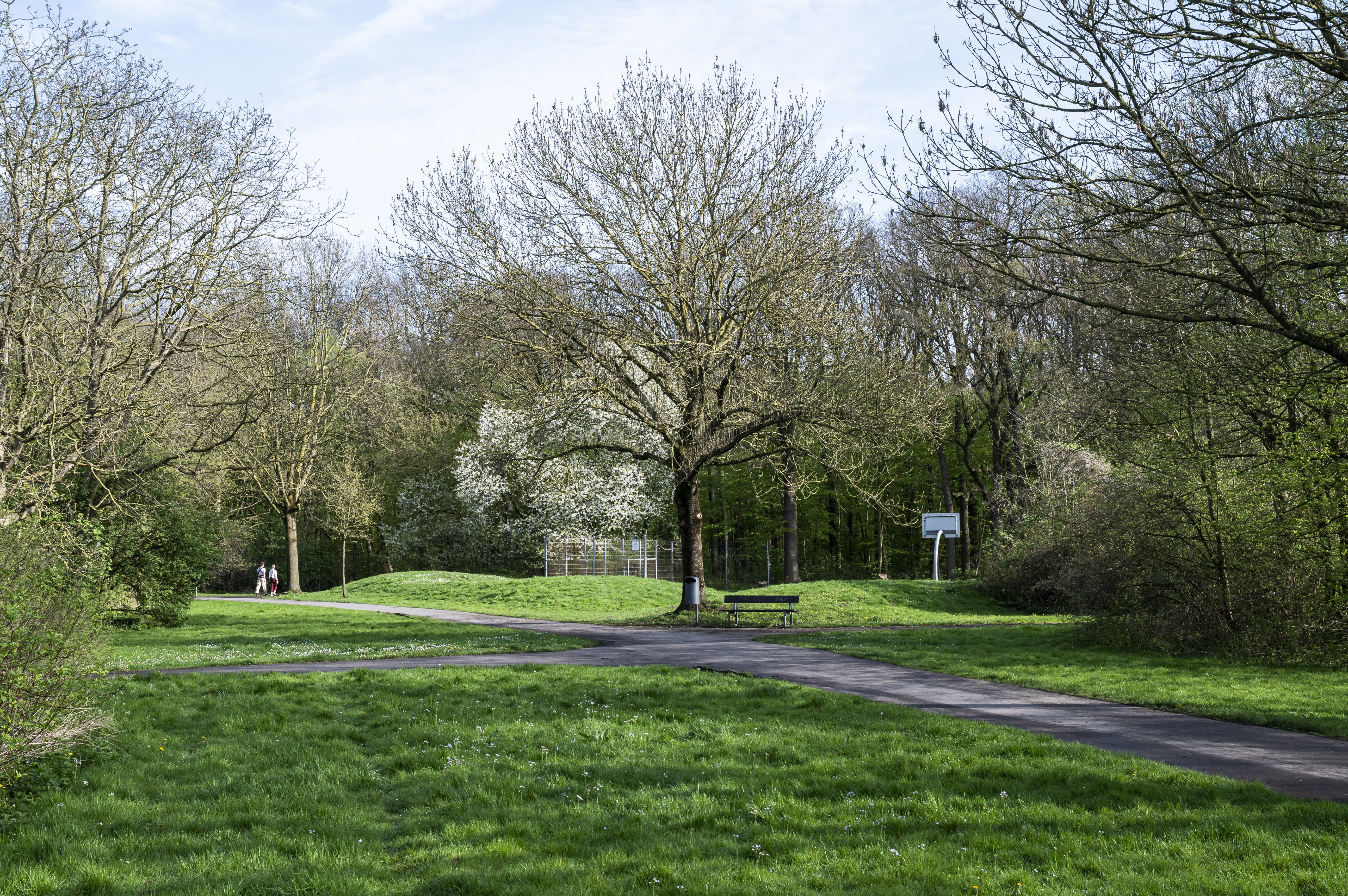 Grüne Wiese, umrahmt von Bäumen und durchzogen von einem Fahrradweg