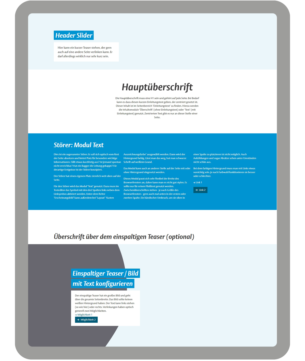 Screenshot von der Dummy-Webseite der Stadt Münster.