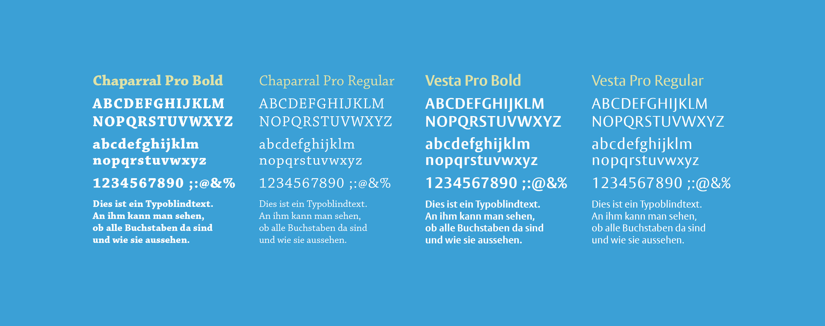 Übersicht der verschiedenen Schriftarten beim Corporate Design der Stadt Münster
