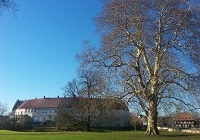 Blick vom Bagno auf Schloss Steinfurt