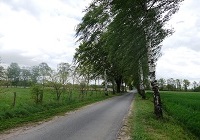 Umringweg nahe Emsdetten