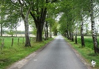 Umringweg nahe Emsdetten