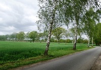 Umringweg nahe Emsdetten