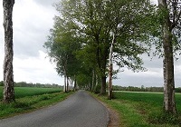 Umringweg nahe Emsdetten