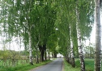 Umringweg nahe Emsdetten