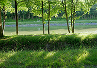 Der Dortmund-Ems-Kanal bei Hiltrup/Münster