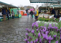 Domplatz Münster - Wochenmarkt