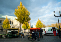 Domplatz Münster - Biologischer Bauernmarkt