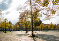 Domplatz Münster