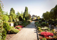 Friedhof Roxel