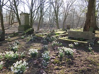 Alter Friedhof in der Wintersonne
