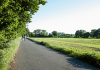 Gasselstiege in Münster