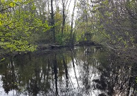 Hof Barlo im westlichen Münsterland - zum Hof gehört ein kleiner See. Foto: F. W. Rump