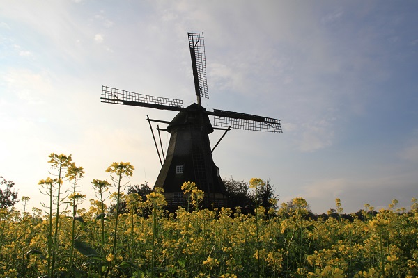 Lo Hollichermuehle600