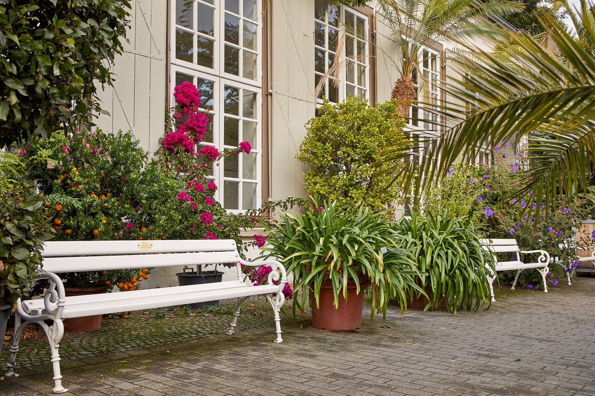Botanischer Garten