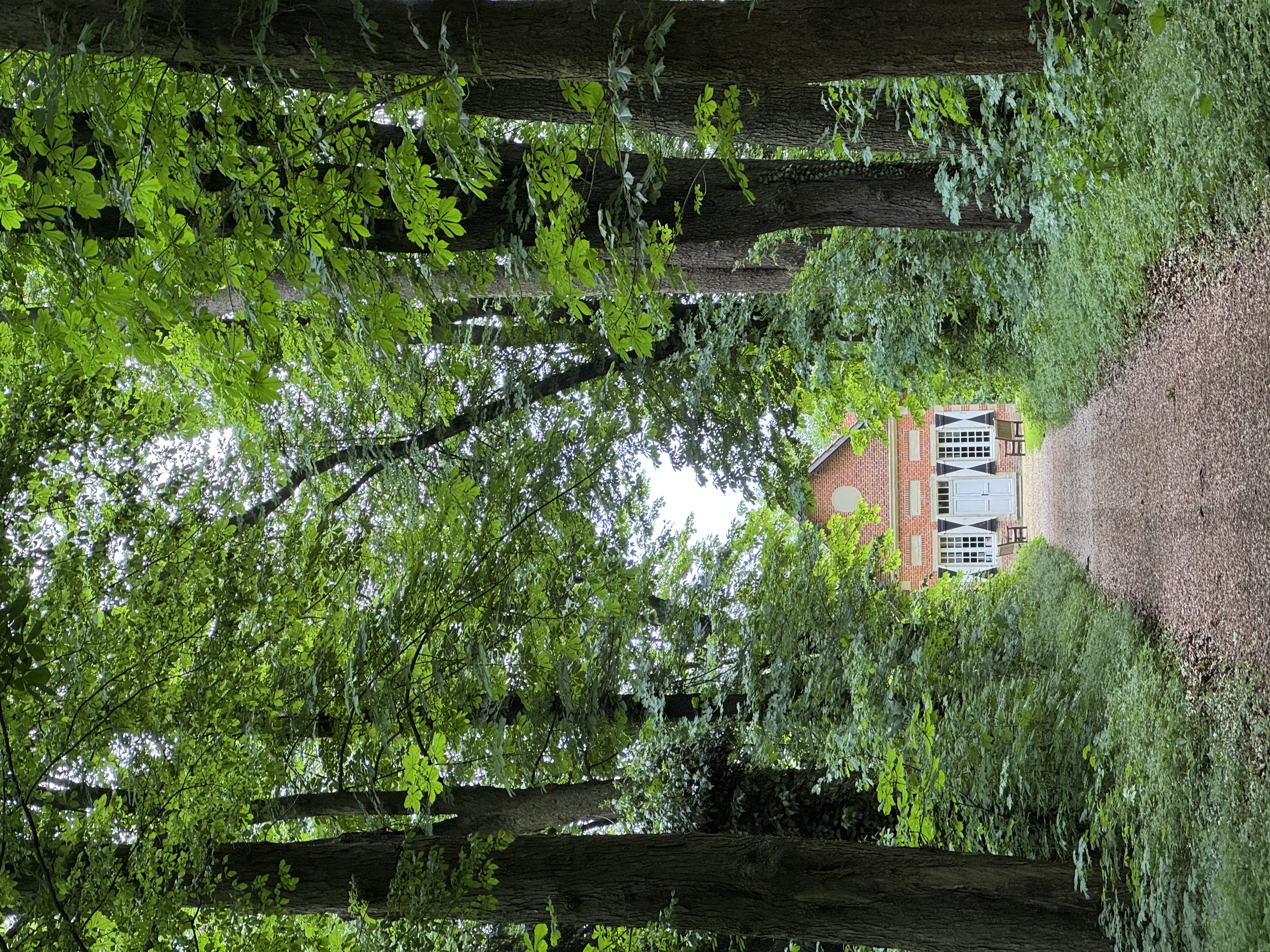 Wald mit Teehäuschen