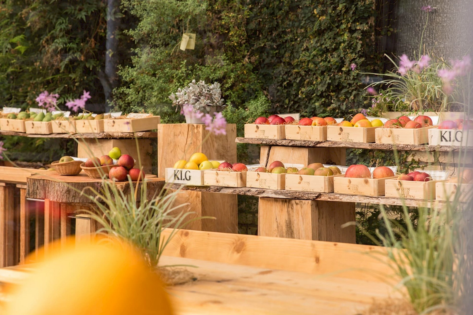 Obst und Gemüse im Kreislehrgarten