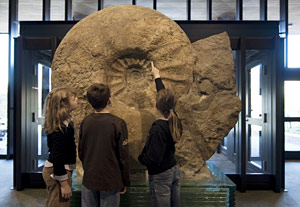 LWL-Museum für Naturkunde, Westfälisches Landesmuseum mit Planetarium