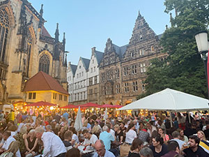 Münster Mittendrin