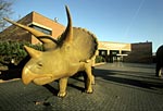 LWL-Museum für Naturkunde, Westfälisches Landesmuseum mit Planetarium